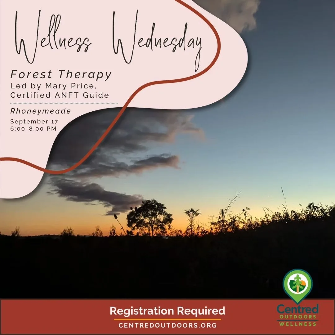 Centred Outdoors Wellness Program - Forest Therapy