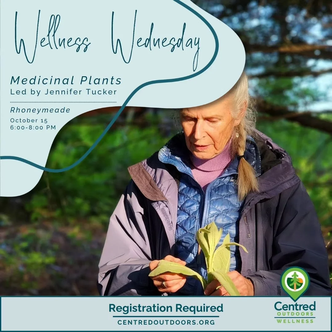 Centred Outdoors Wellness Program - Medicinal Plants