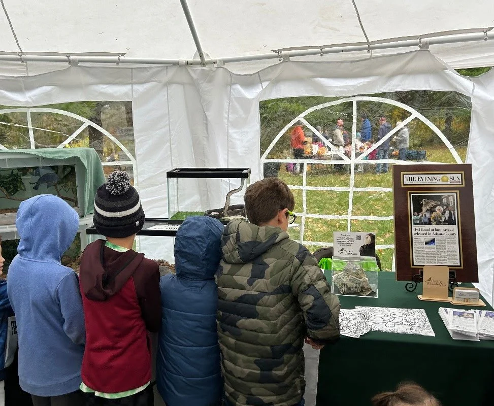 Fall Festival