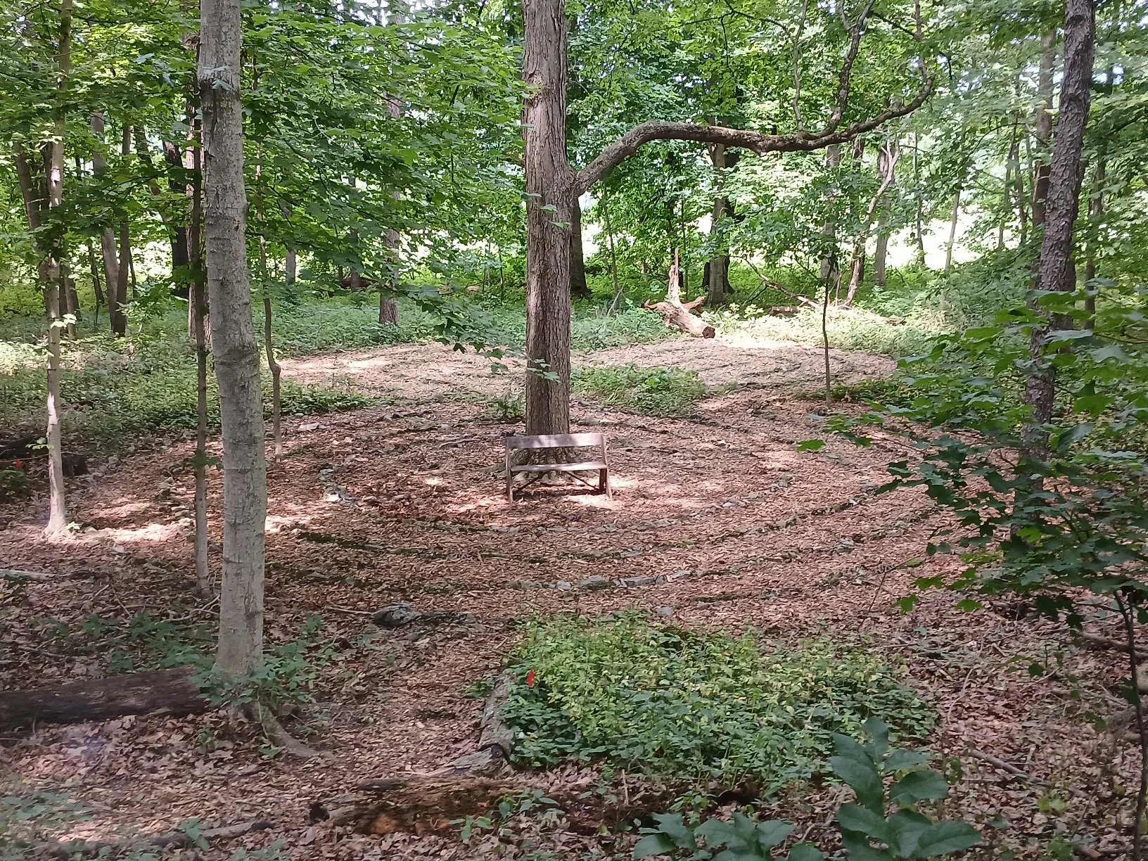 20260715_131420.jpg