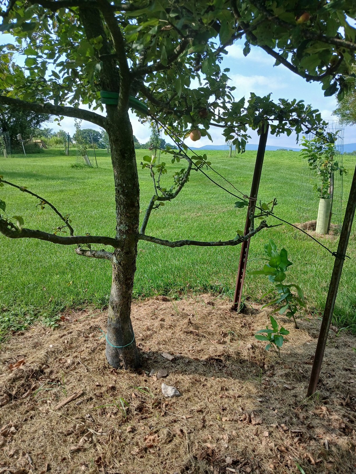 20260809_094641.jpg