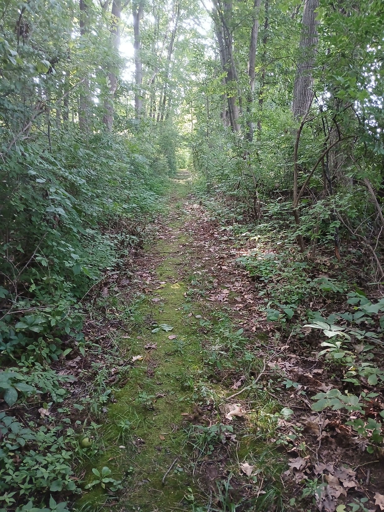20260809_100956.jpg