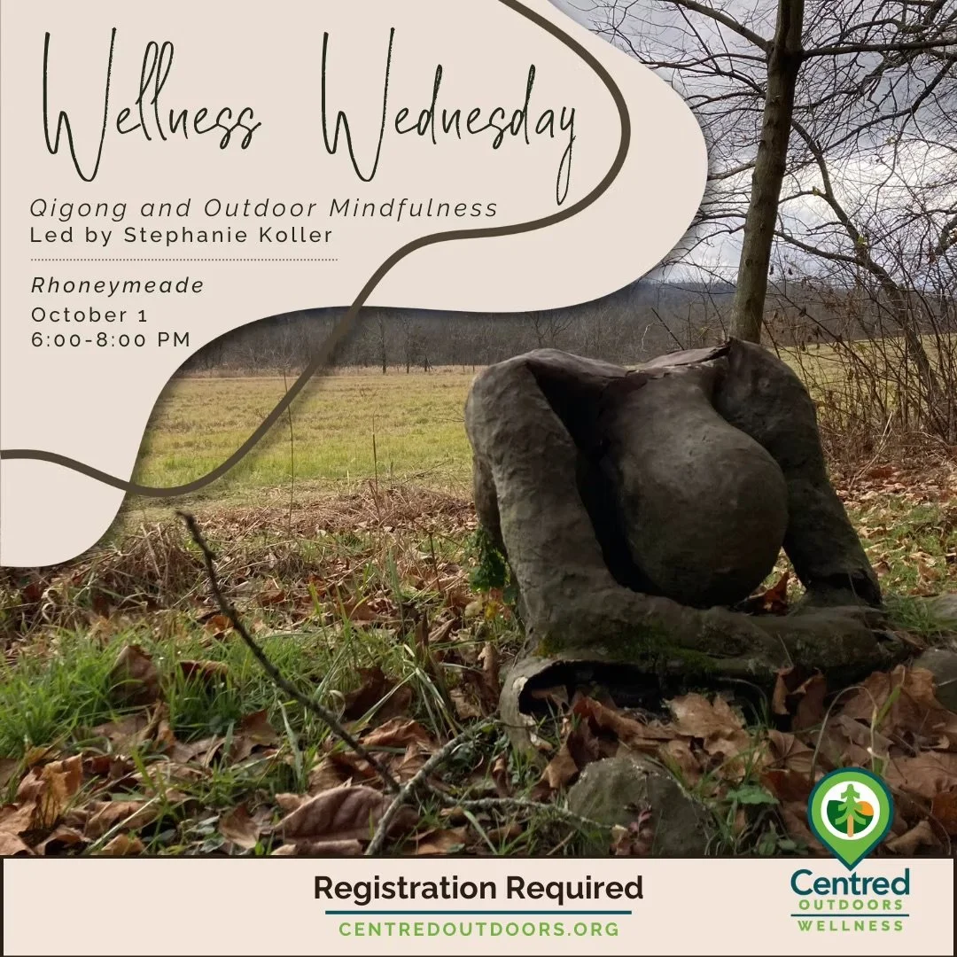 Centred Outdoors Wellness Program - Qigong and Outdoor Mindfulness