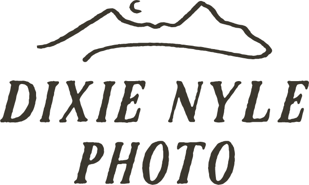 DNP Final Logo Set_illust_stack_black.png