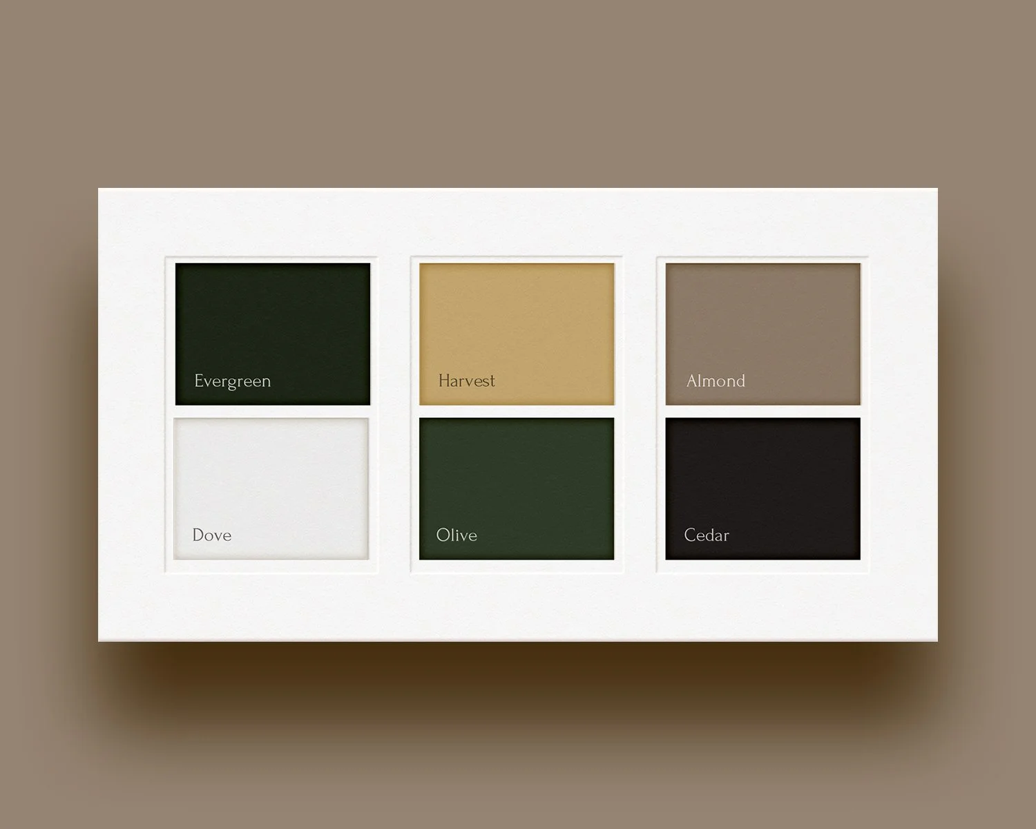 The custom color palette for the brand identity is displayed on a plain tan background.