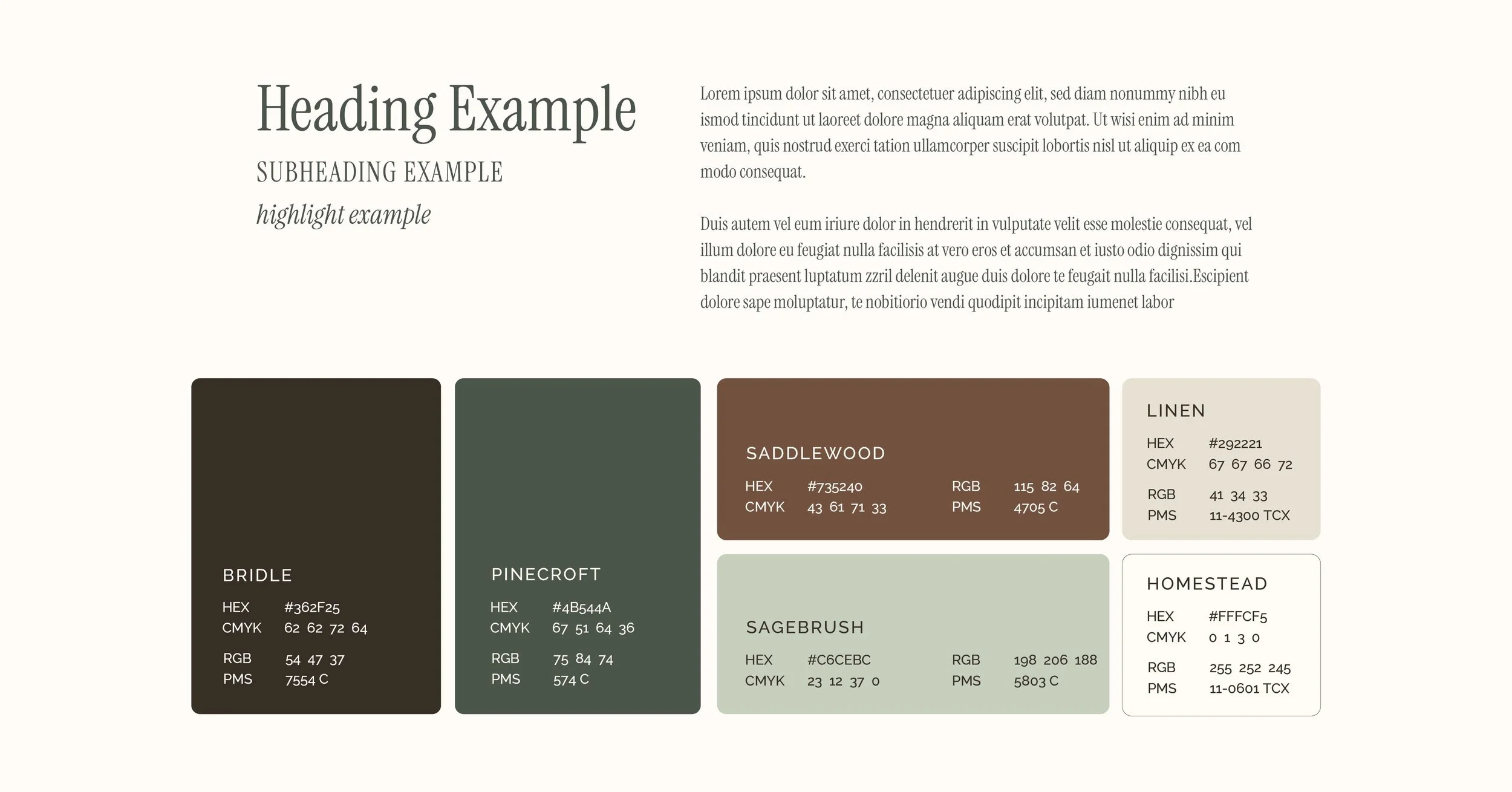 A graphic showing a typeface palette, featuring a heading, subheading, highlight and body copy example. Below, a color palette showcasing Hex codes, CMYK and RGB values, and Pantone swatch colors.