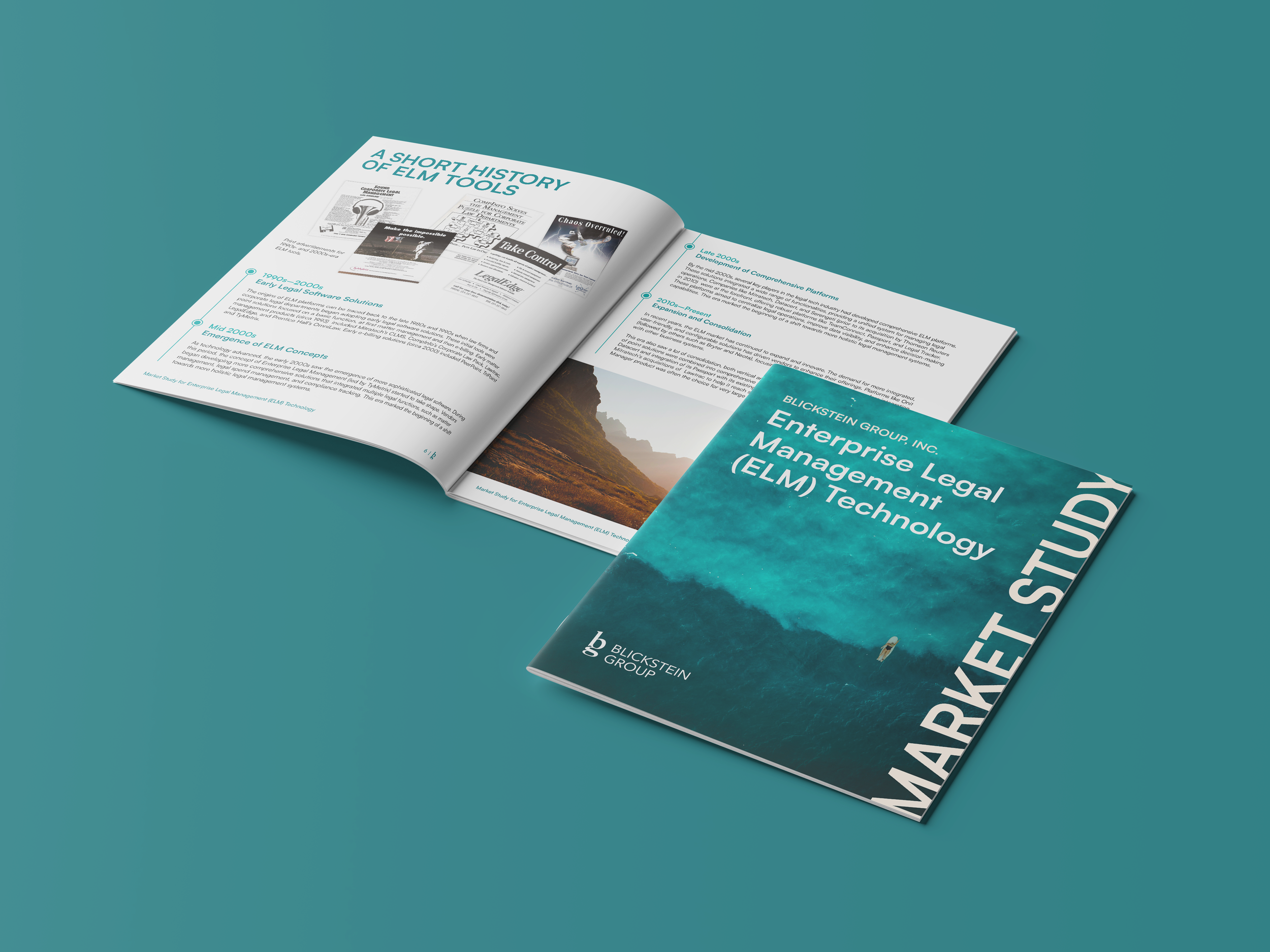 BGI_Market Study Report Mockuo.png