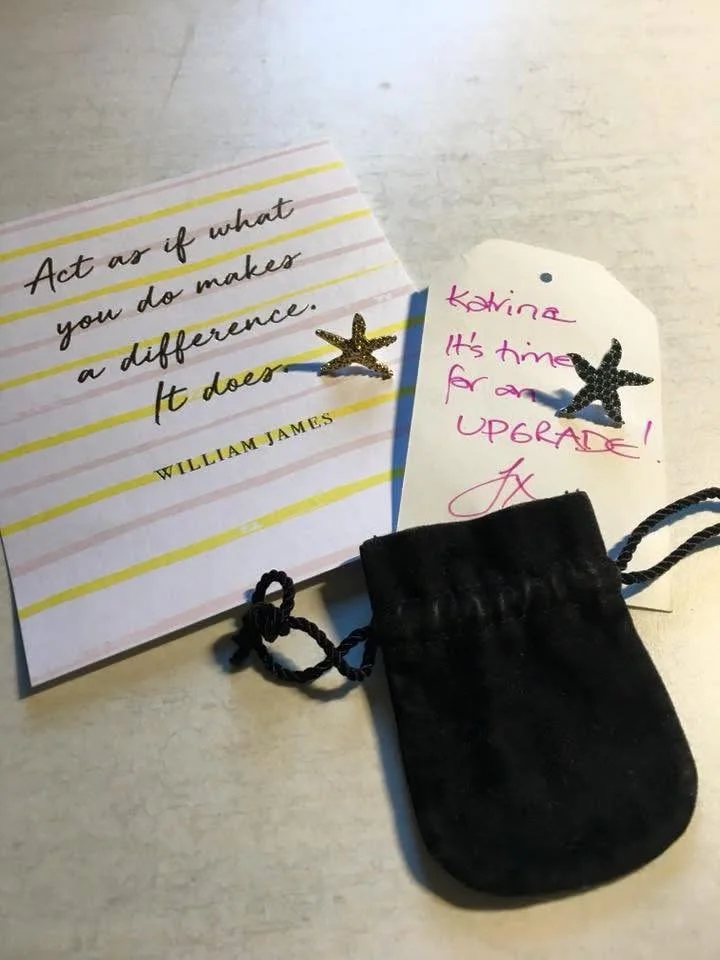 The Starfish story.....

Many years ago a mentor presented me with a gold starfish pin in recognition of the work I was doing at the time, then I was presented with &lsquo;an upgrade&rsquo;, a gorgeous sparkling one, once again by a mentor I was work