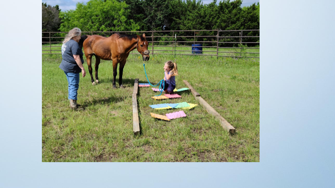 HPR Summer Program.pptx (7).png