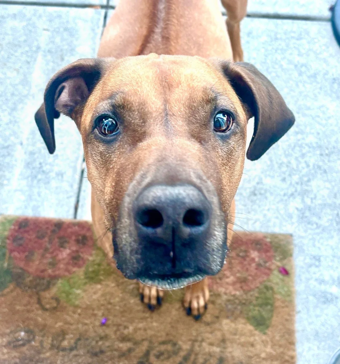 OBI 3/2/25