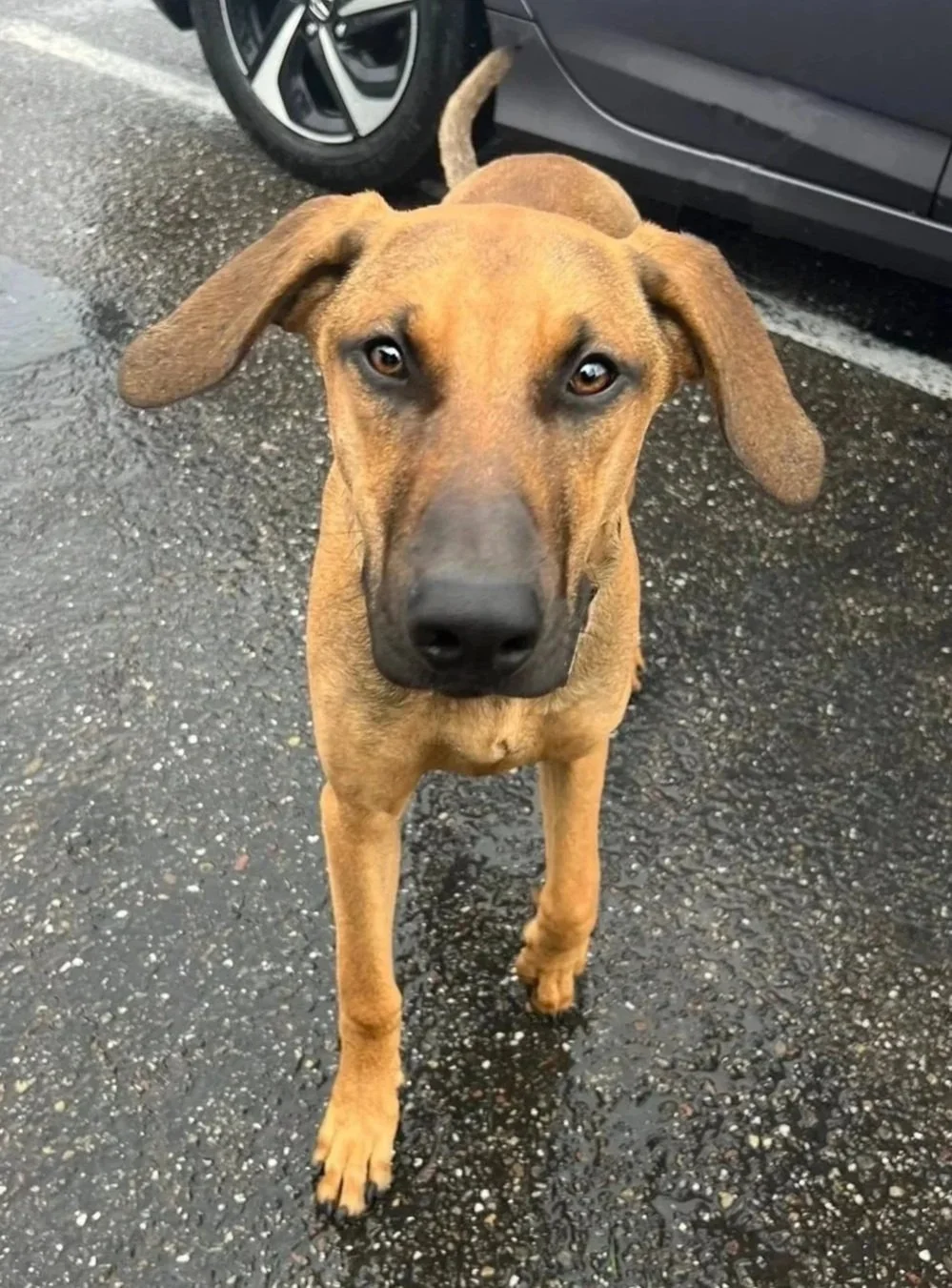 BOOMER 12/21/25
