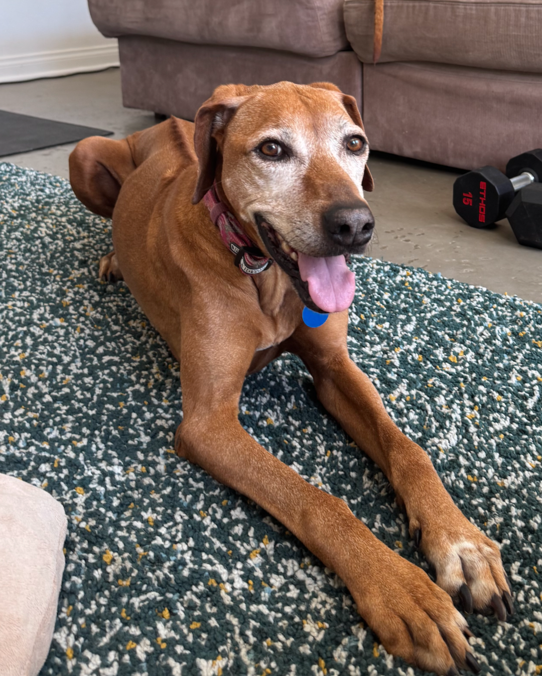 NALA 8/9/25