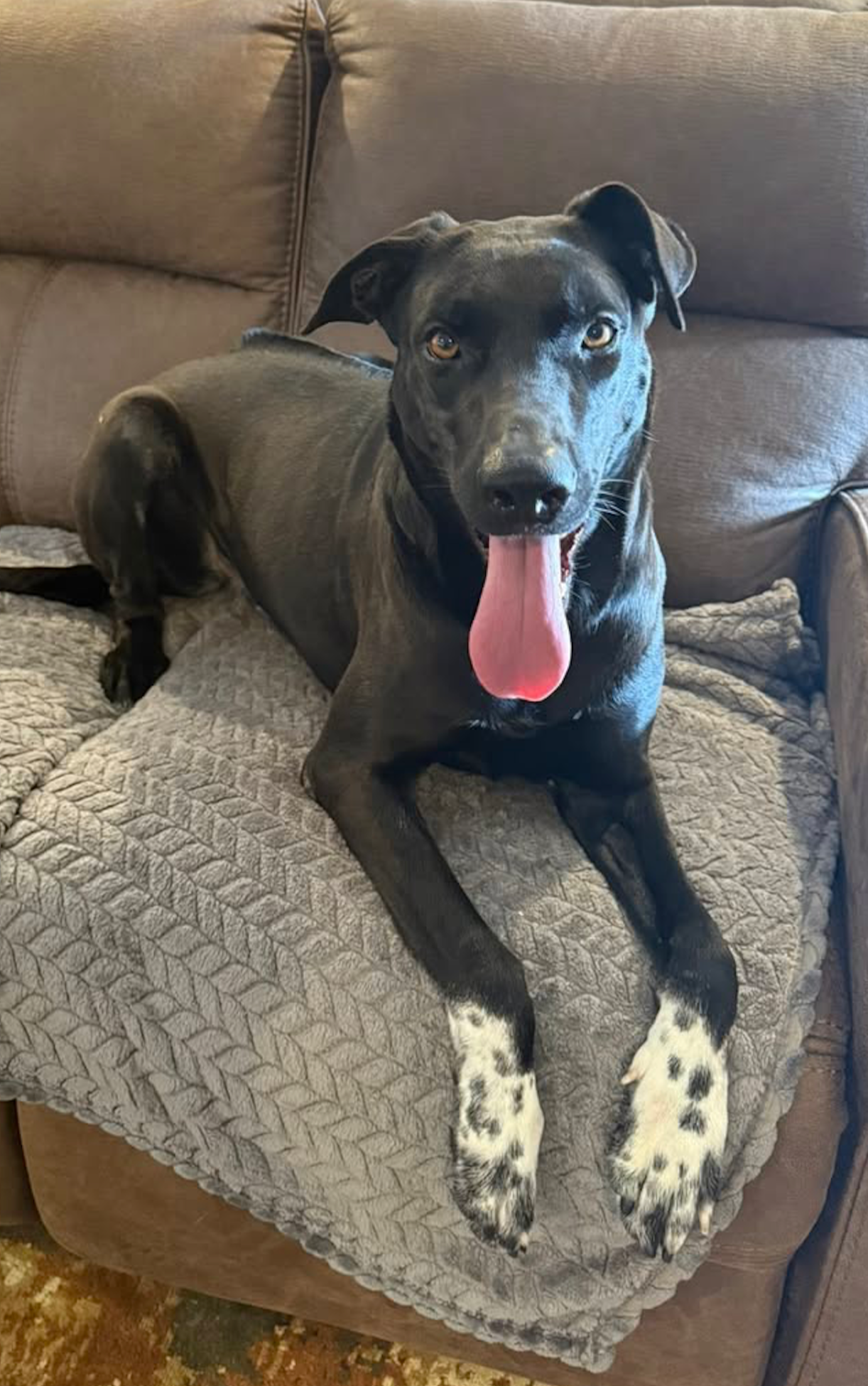 LUCY 5/25/25