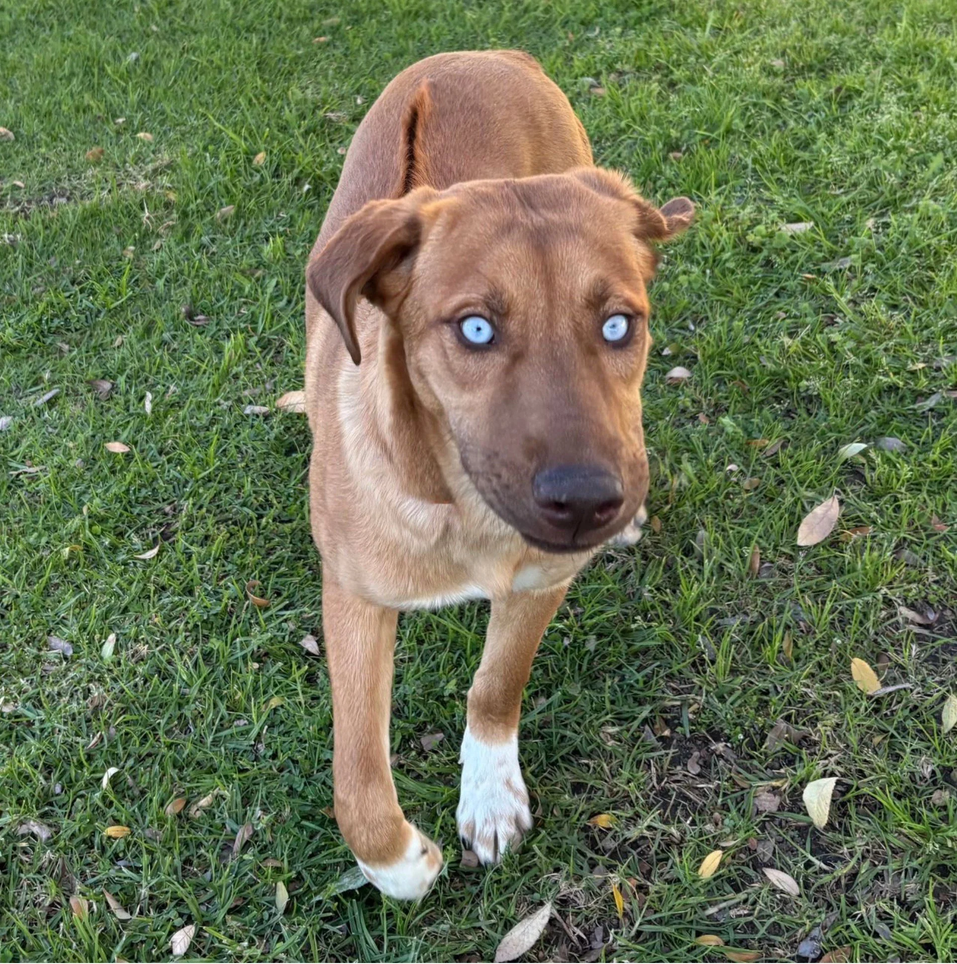 LOKI 1/26/26
