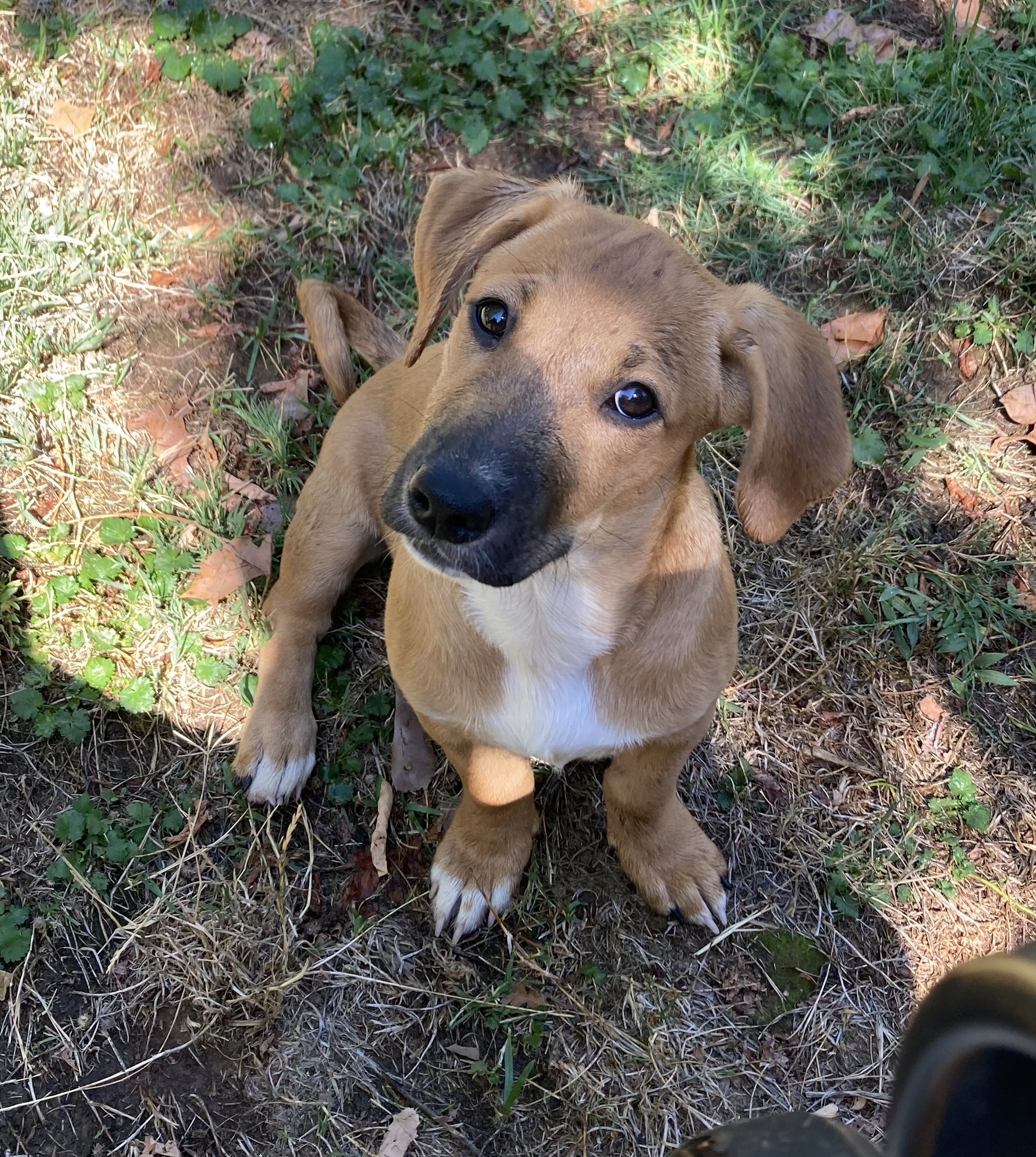 PIPER 8/30/25