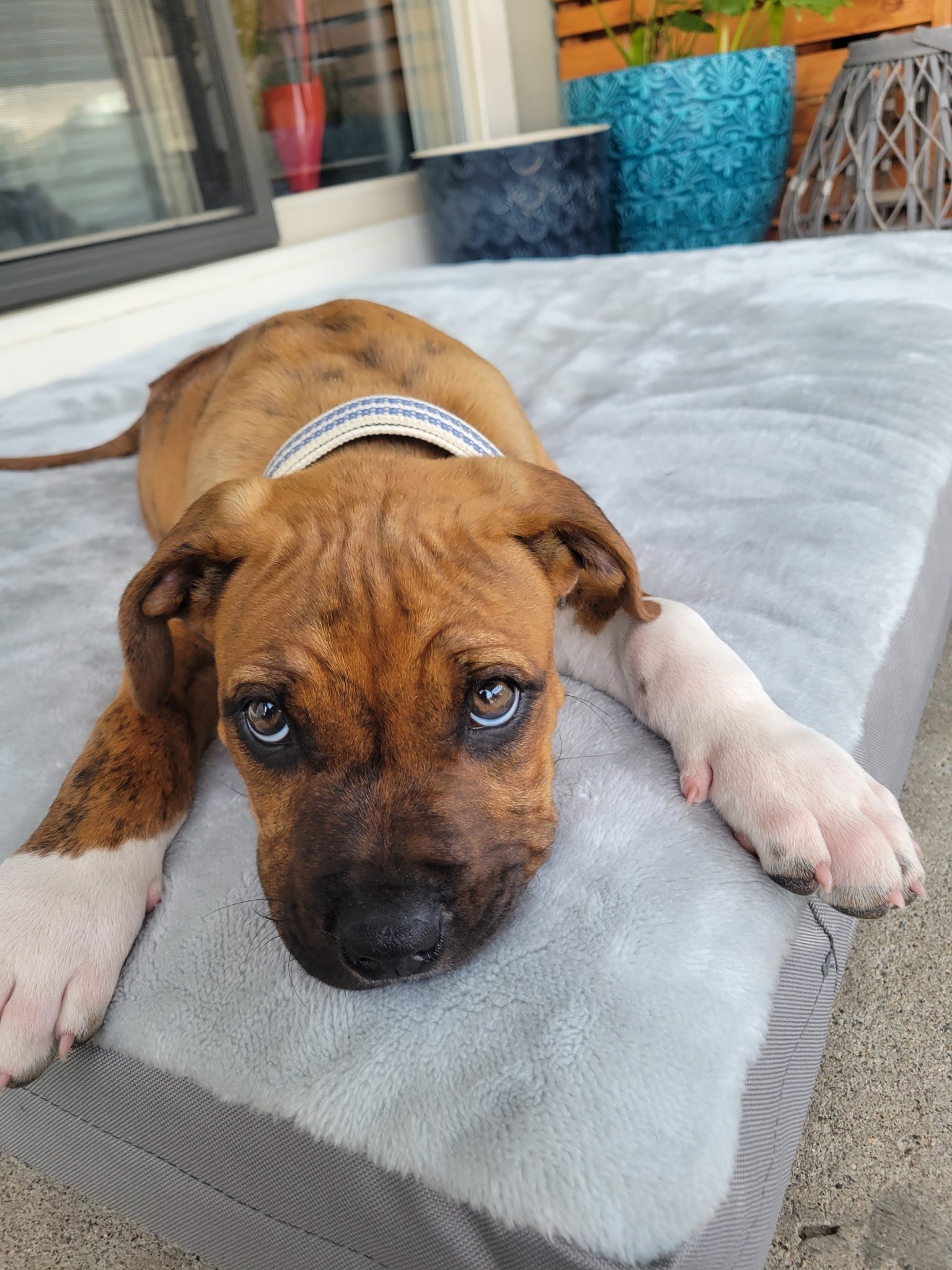 TILLY 4/2/25