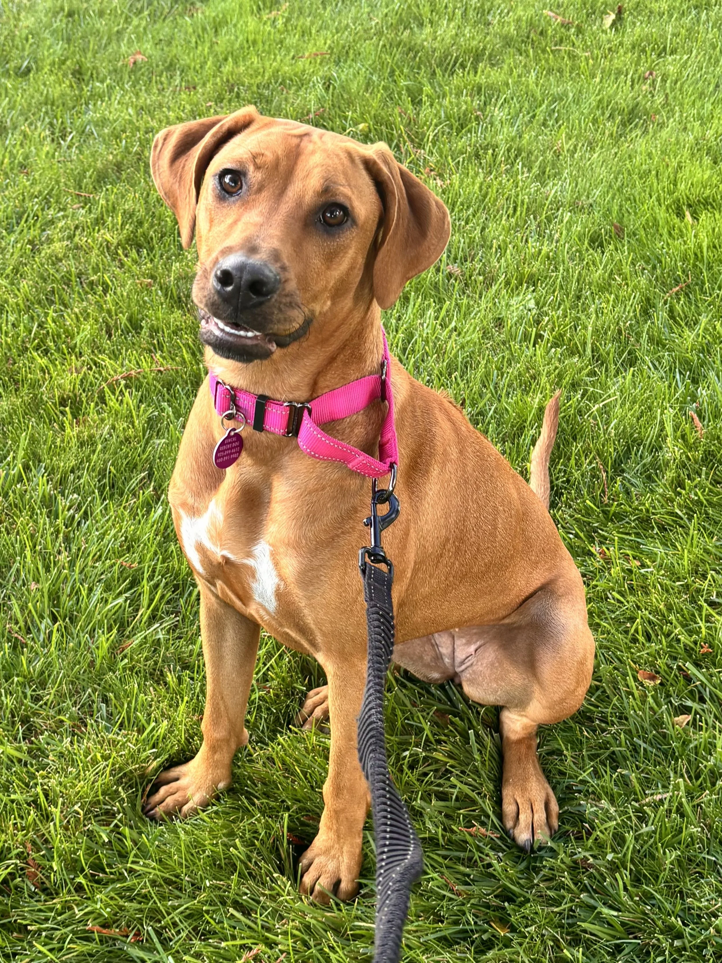 KAIA 9/13/25