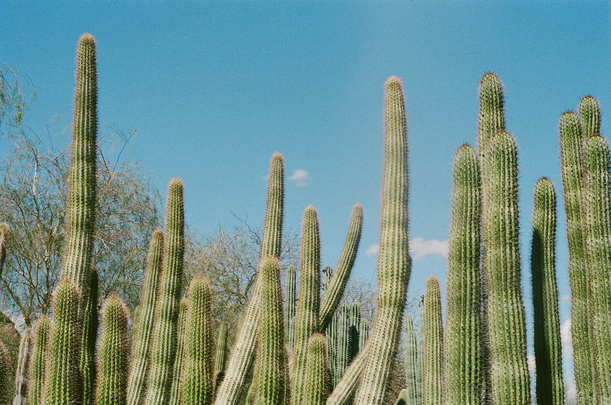 000536320031.jpg