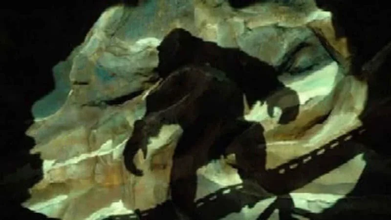 View of the Yeti silhouette in the Expedition Everest ride at Disney World, just before the drop. The outline of its back is visible in the shadows as it poses. View of Yeti before animatronic is revealed.  Image Source: Disney Wiki
