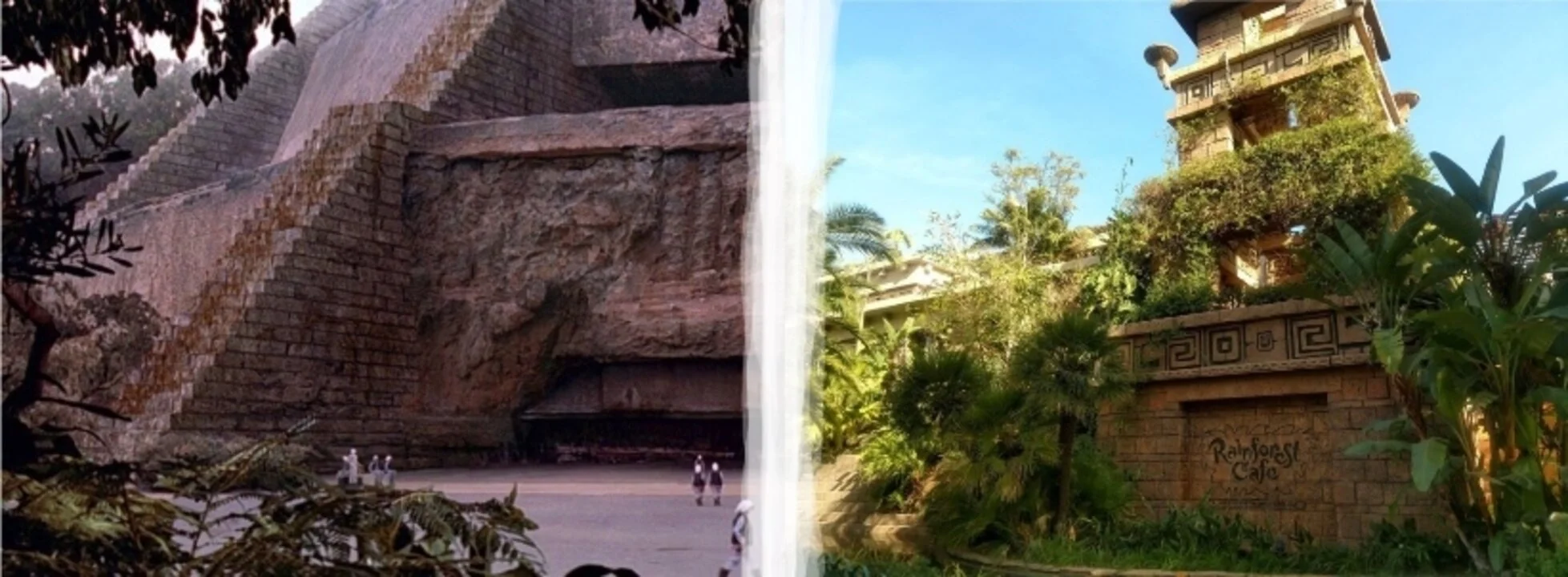 Could Rainforest Café Be Remodeled Into 'Star Wars' Themed Gift Shop?