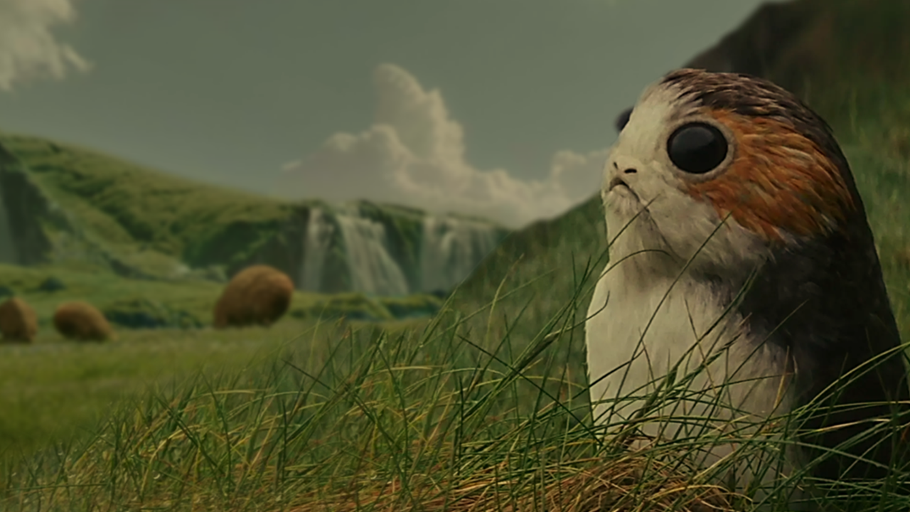 Why ‘Star Wars’ SERIOUSLY Needs A Wildlife/Nature Show On Disney+