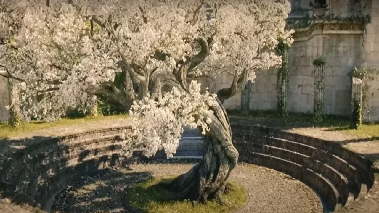 The White Tree The Rings Of Power