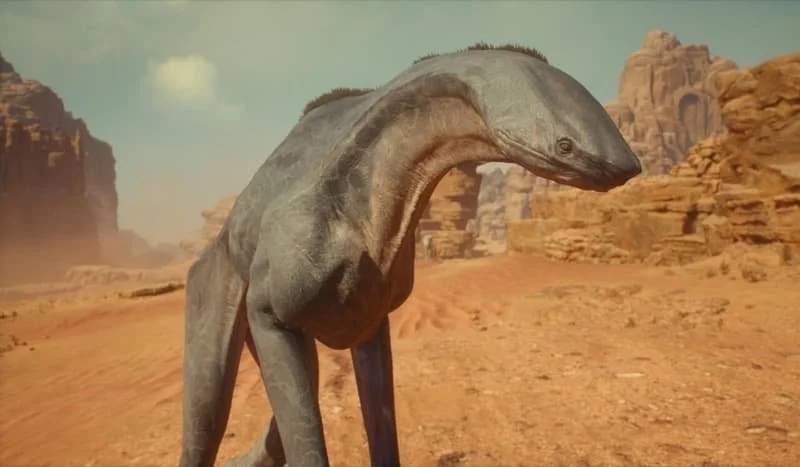 A Spamel on the surface of Jedha