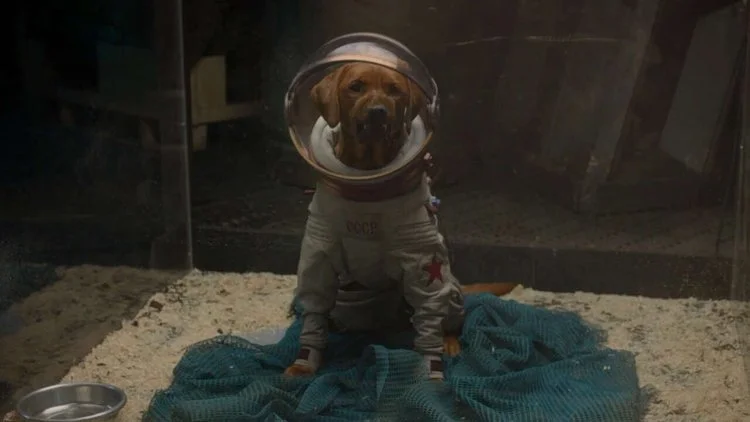 Who Is Cosmo The Spacedog? — CultureSlate
