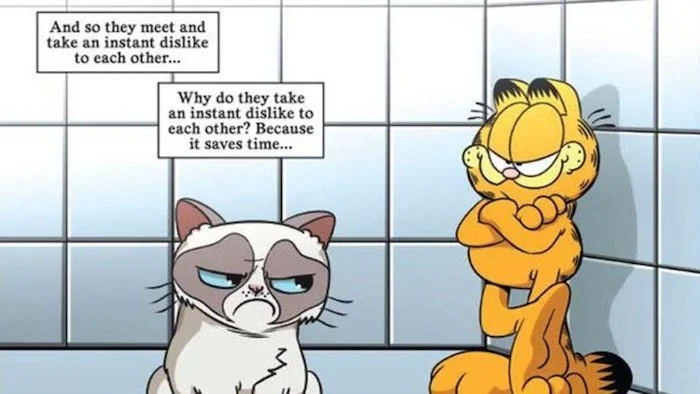 That Time They Wrote A Comic Series With Grumpy Cat And Garfield ...