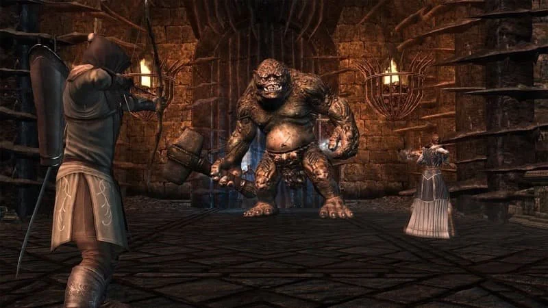 Image depicts the man and the elf as they take on a troll.  Image Source: Fanatical