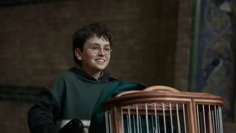 A young Harry Potter in the HBO series