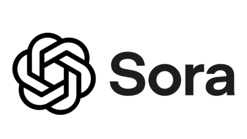 Sora logo, OpenAI twisting icon to the left of the product name, all in black against a white background