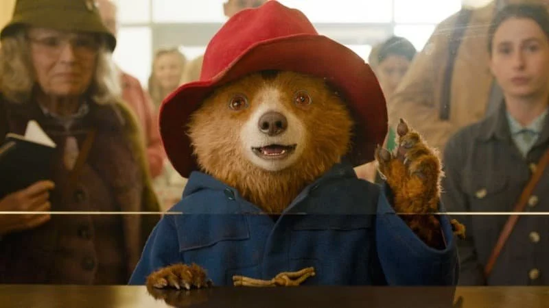 Image Description: Paddington checking in for his flight