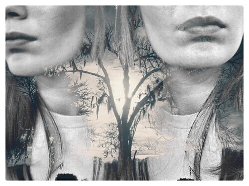 Snapseed 6.jpg