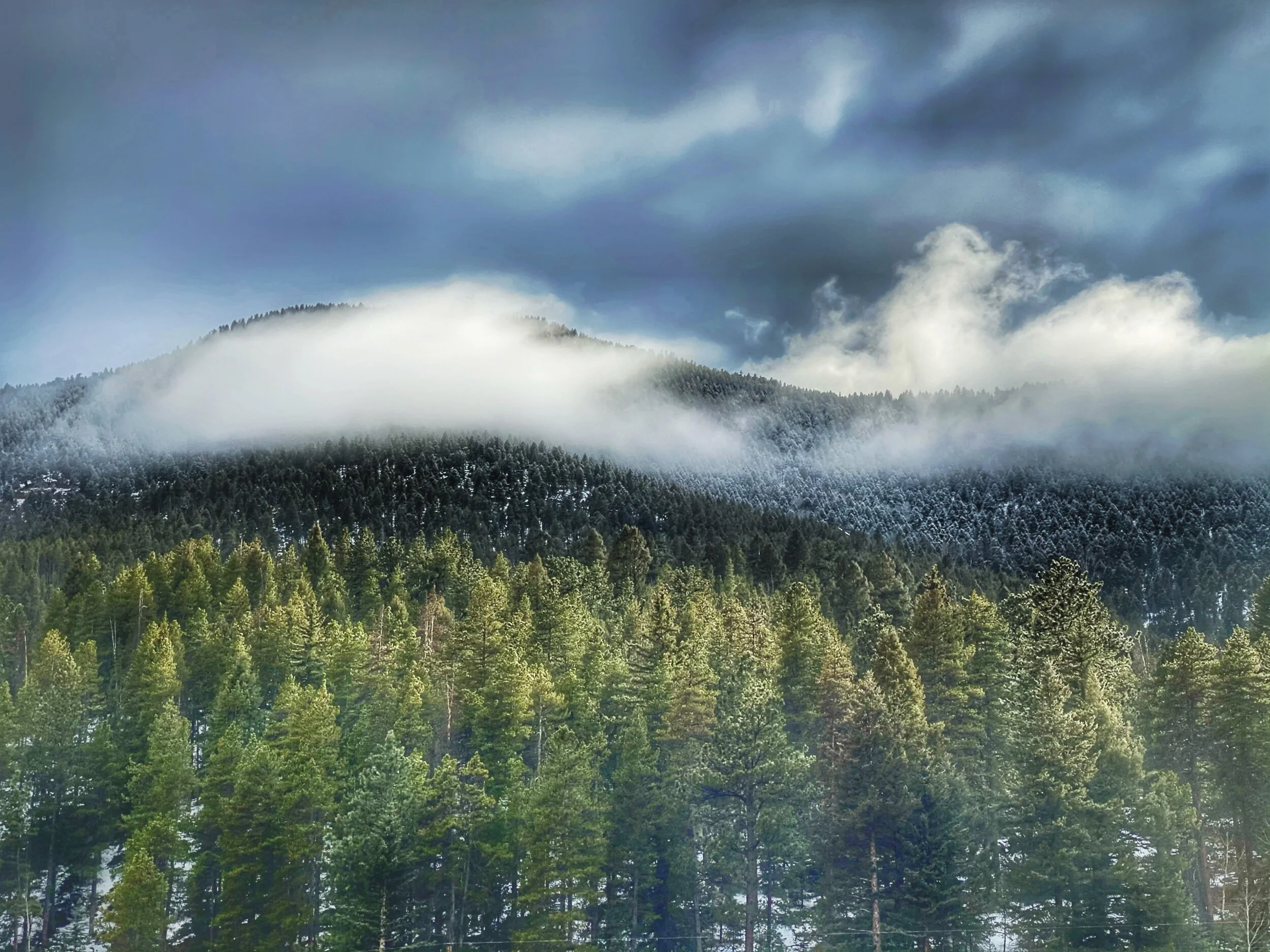 Pikes Peak National Forest: Colorado