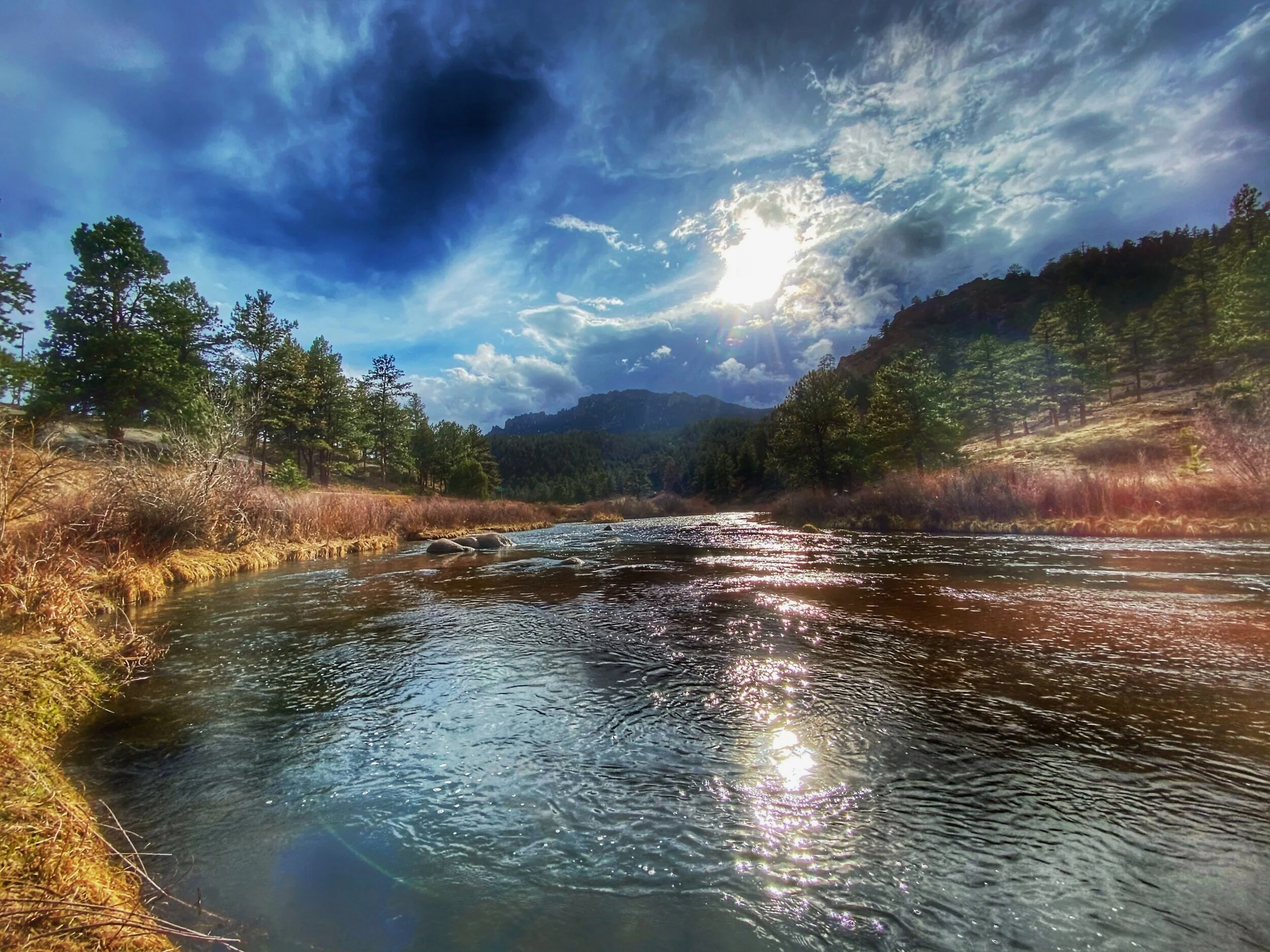 Pike Peak National Forest: Colorado