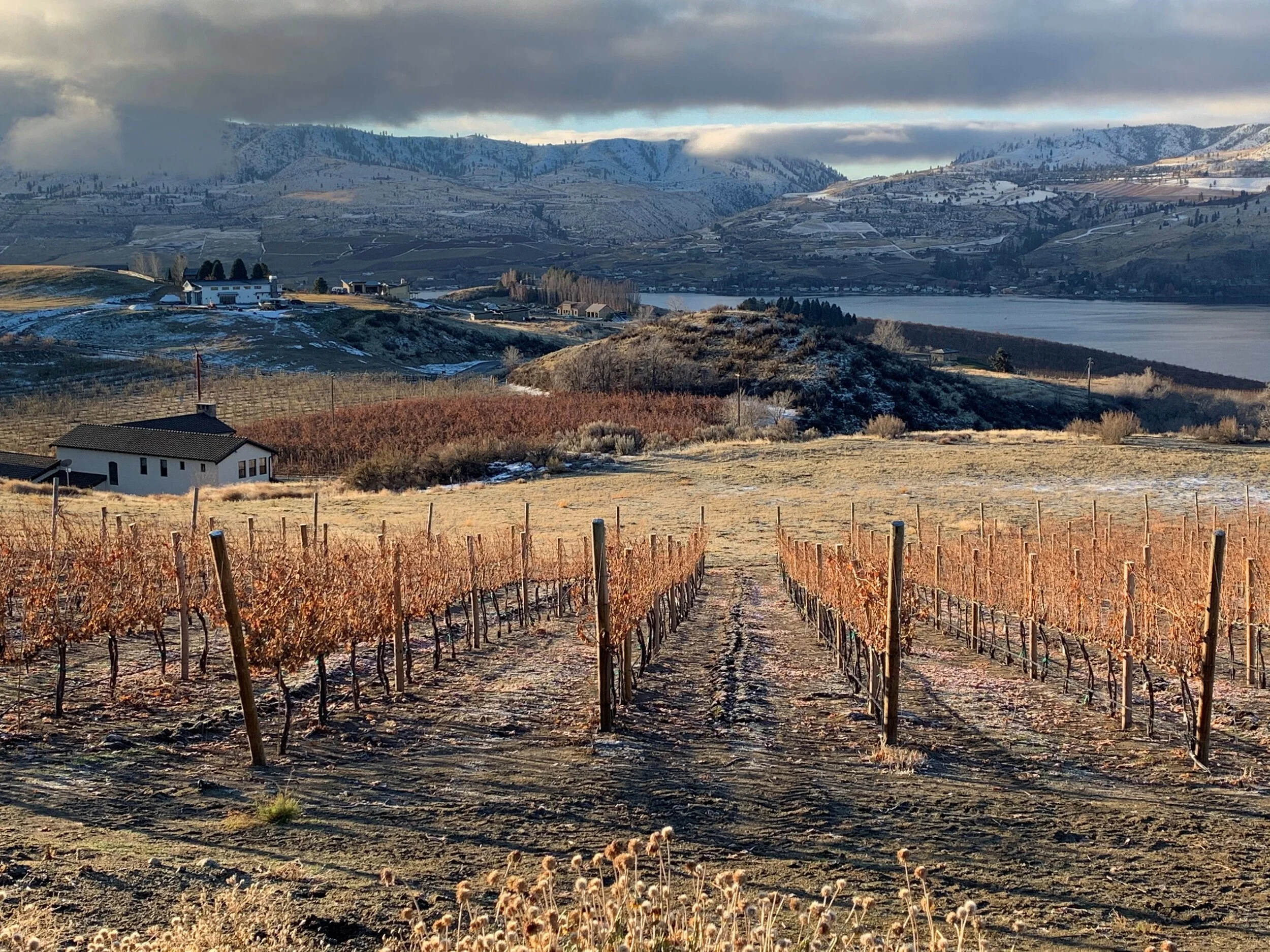 Cloudy Morning Winter View.jpg