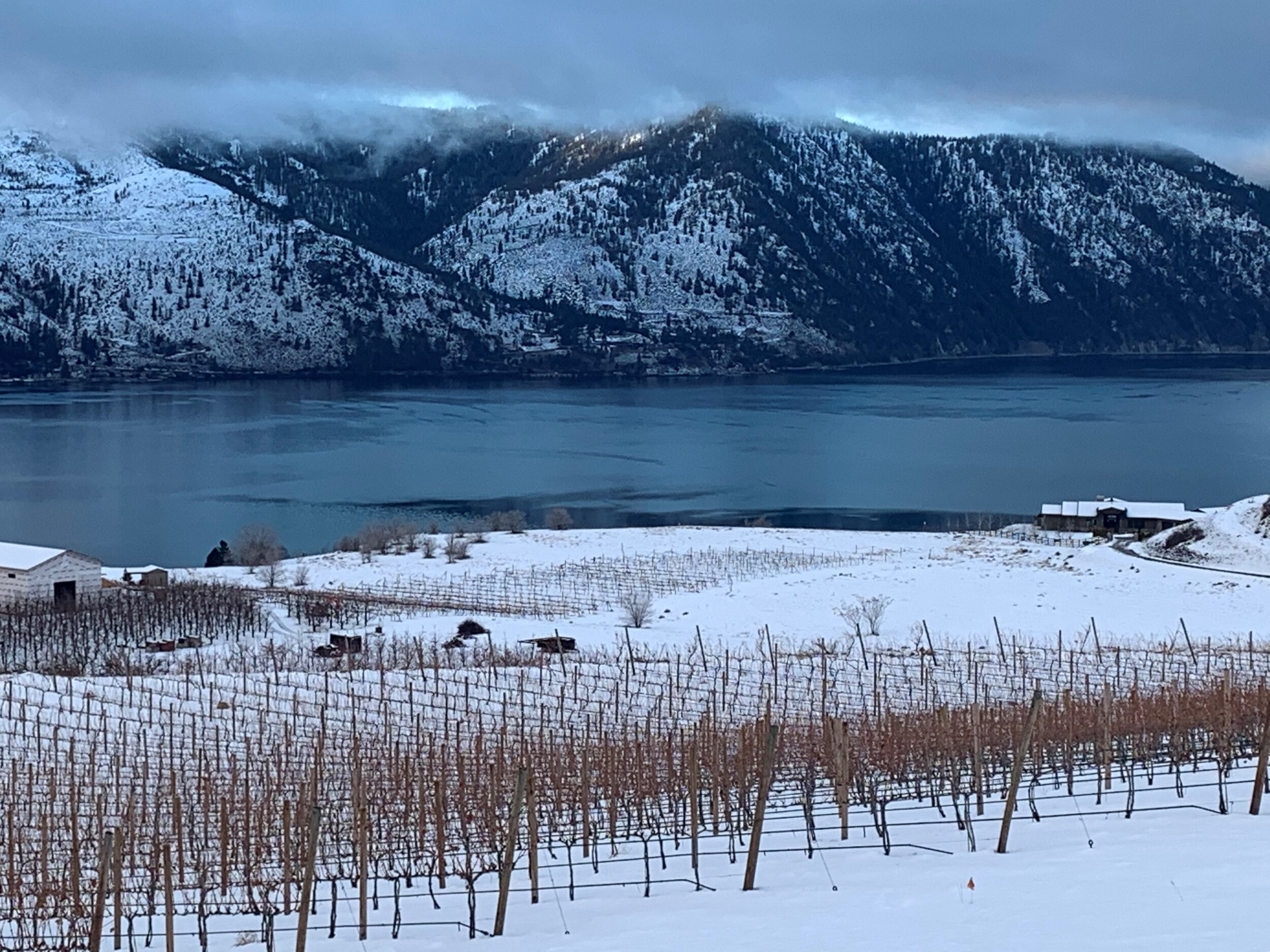 Cloudy Winter Morning View 1.jpg