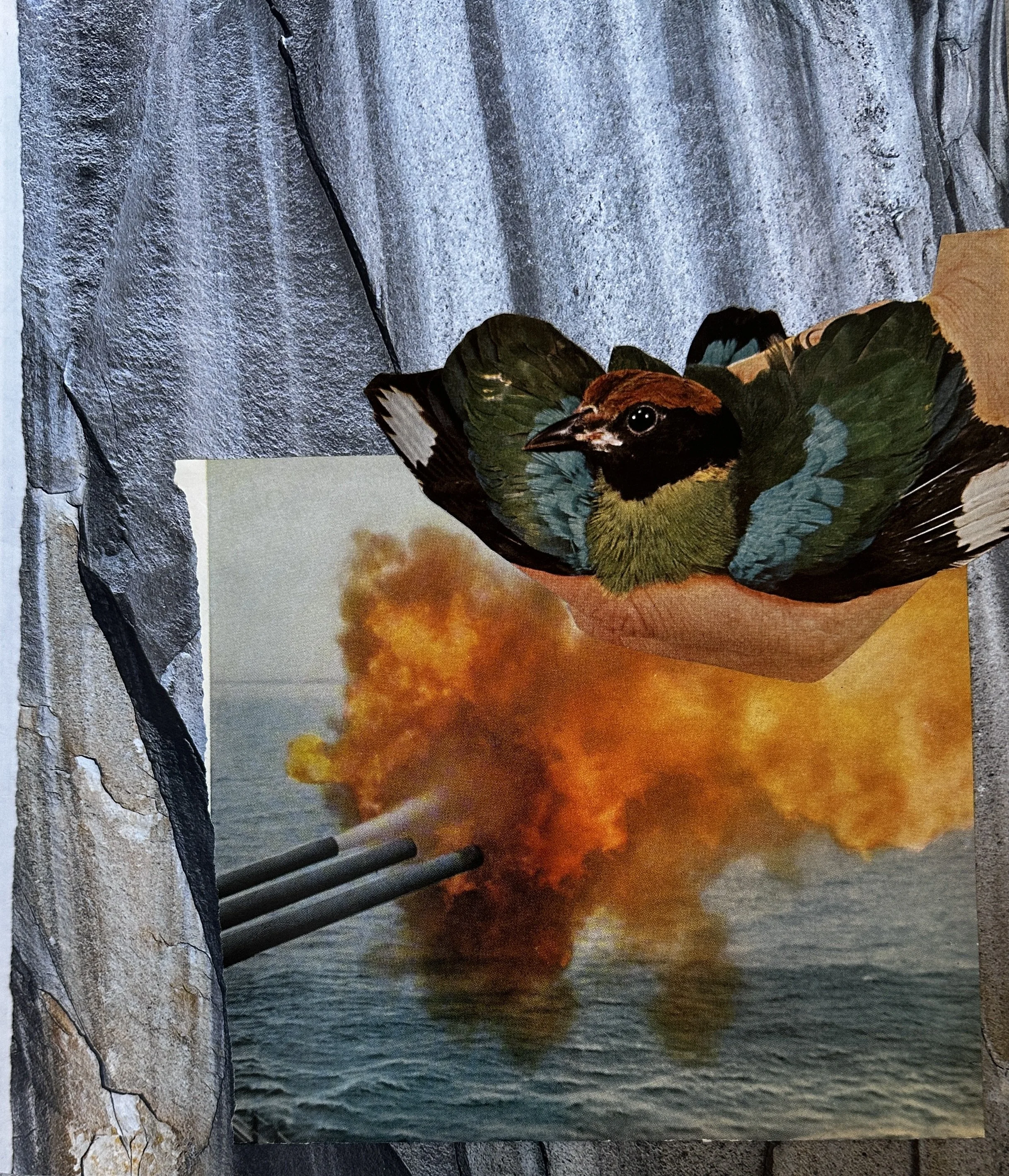 A collage: the background is an evocative photo of a smooth and jagged stone in shades of gray, white, and rust. Over an image of three canons blasting fire over the water, a human hand holds gently a bird, feathers green, blue, and black.