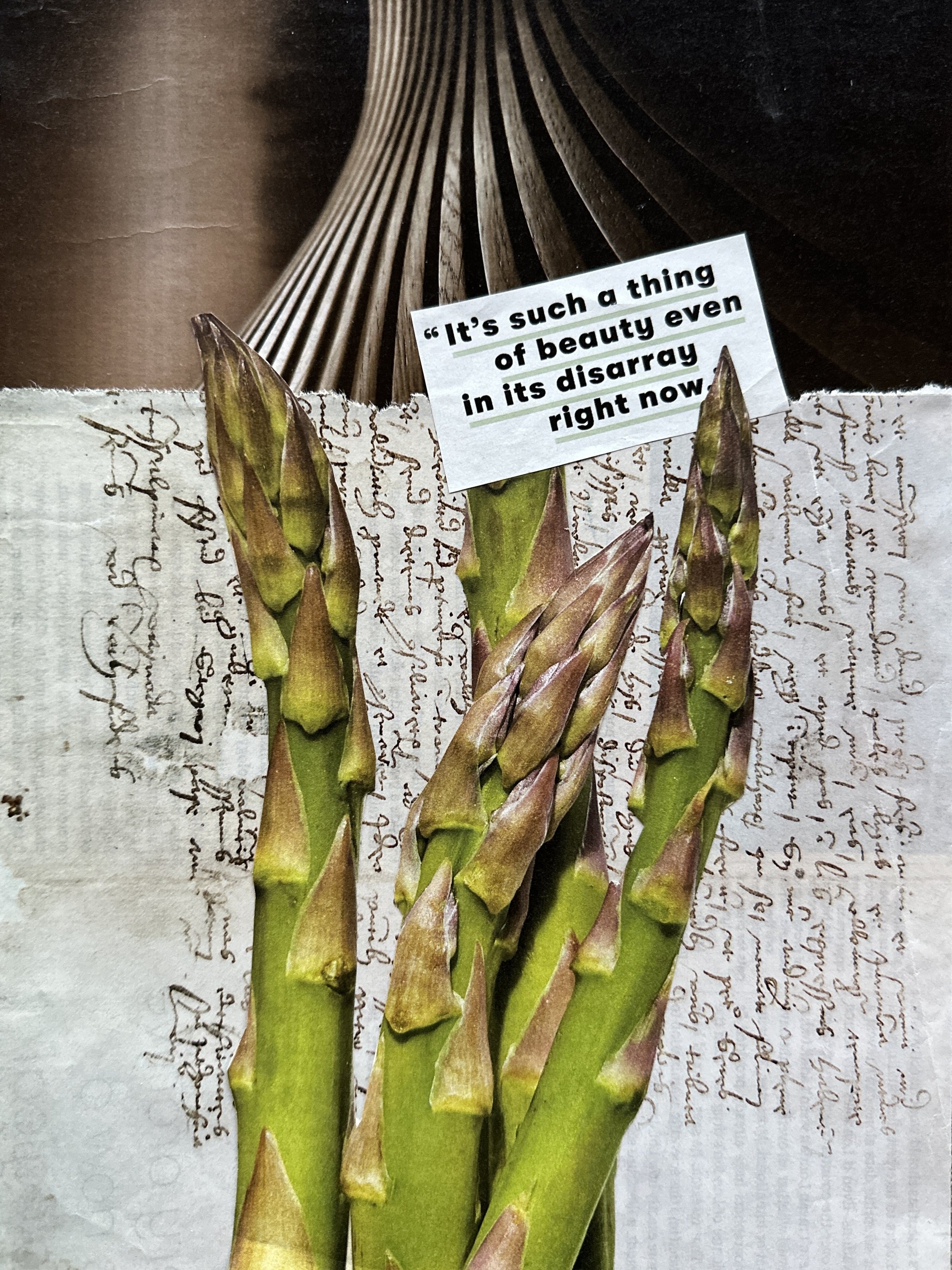 Collage of four green asparagus over parchment with unreadable ancient script. Top third of photo is a dark brown wooden swirl. Black text reads "It's such a thing of beauty even in its disarray right now."