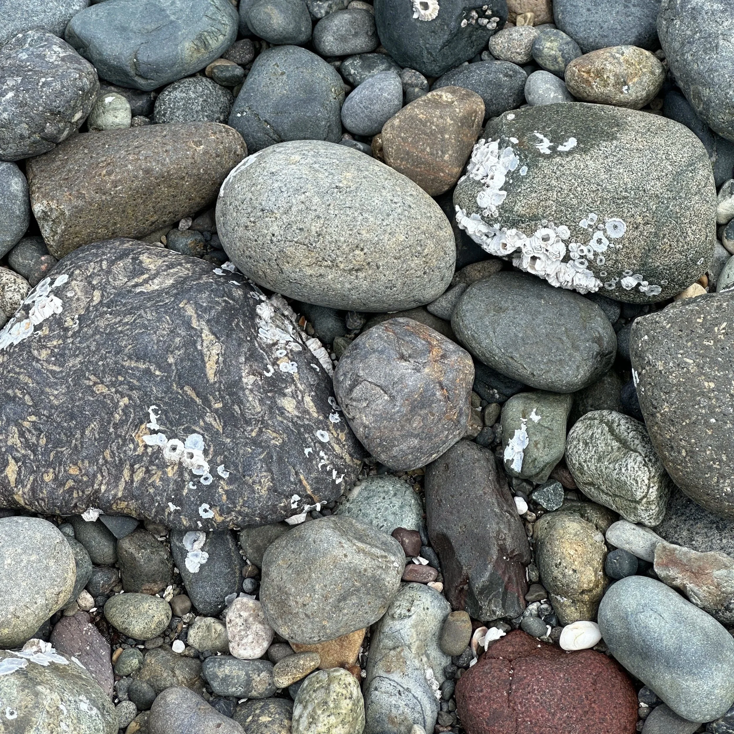 Silence: Words + Portals