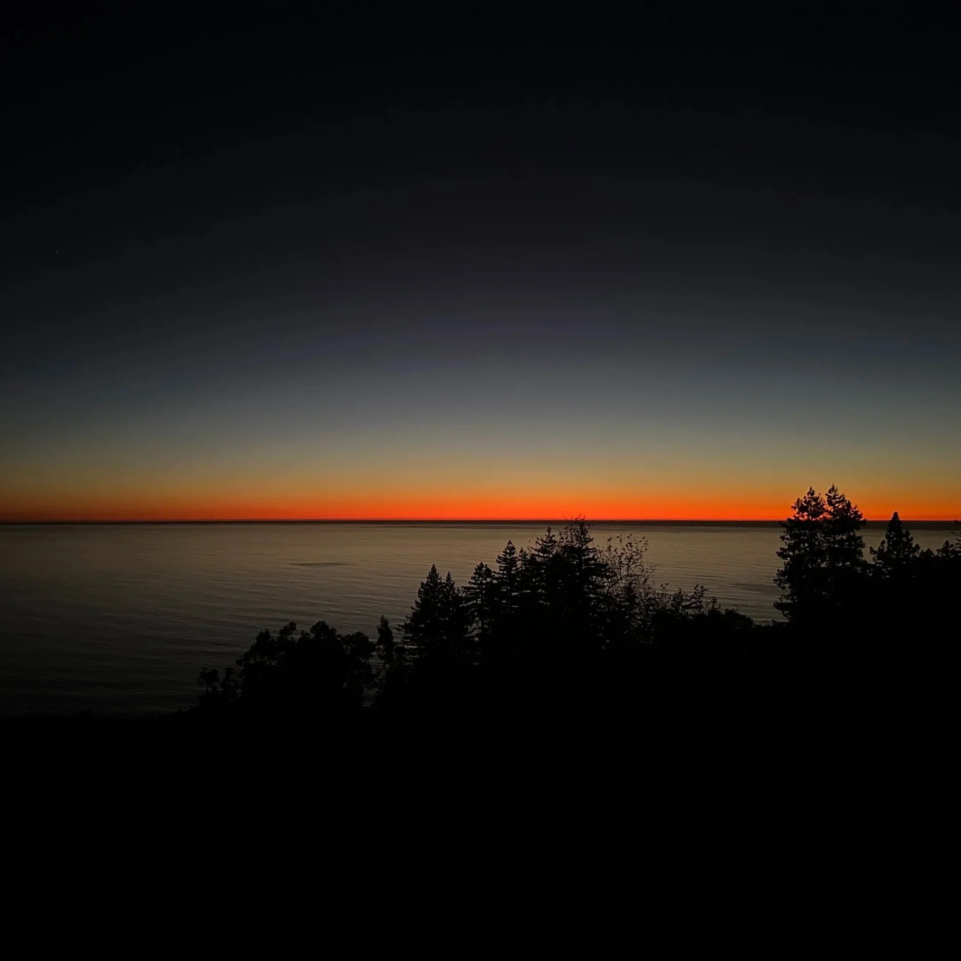 Wisdom: A Knowing in Darkness