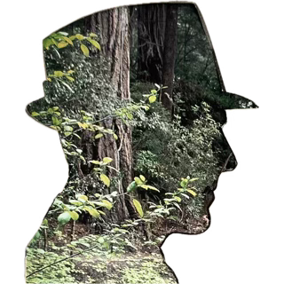 IMG_2337.PNG