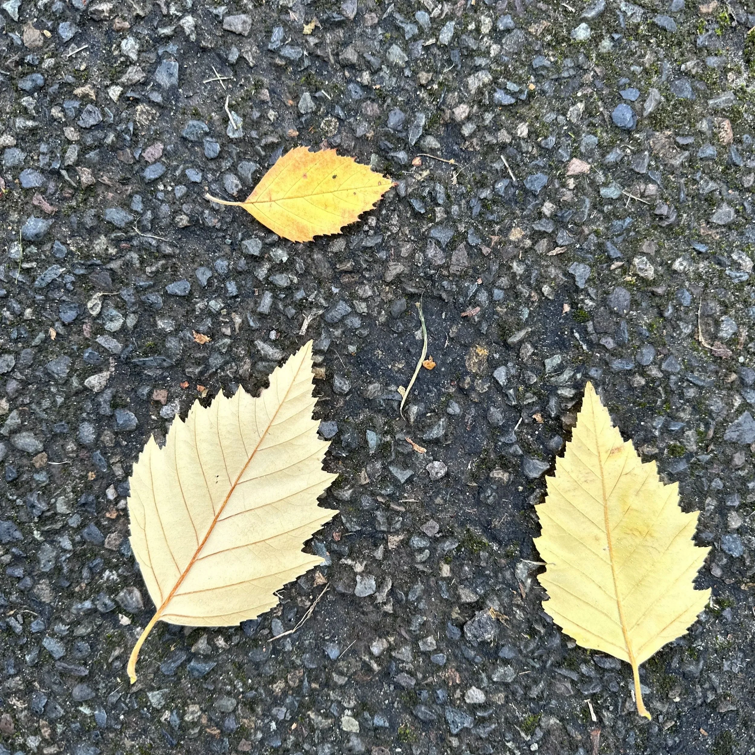 Three, An Audio Collage + The Sound of Yellow