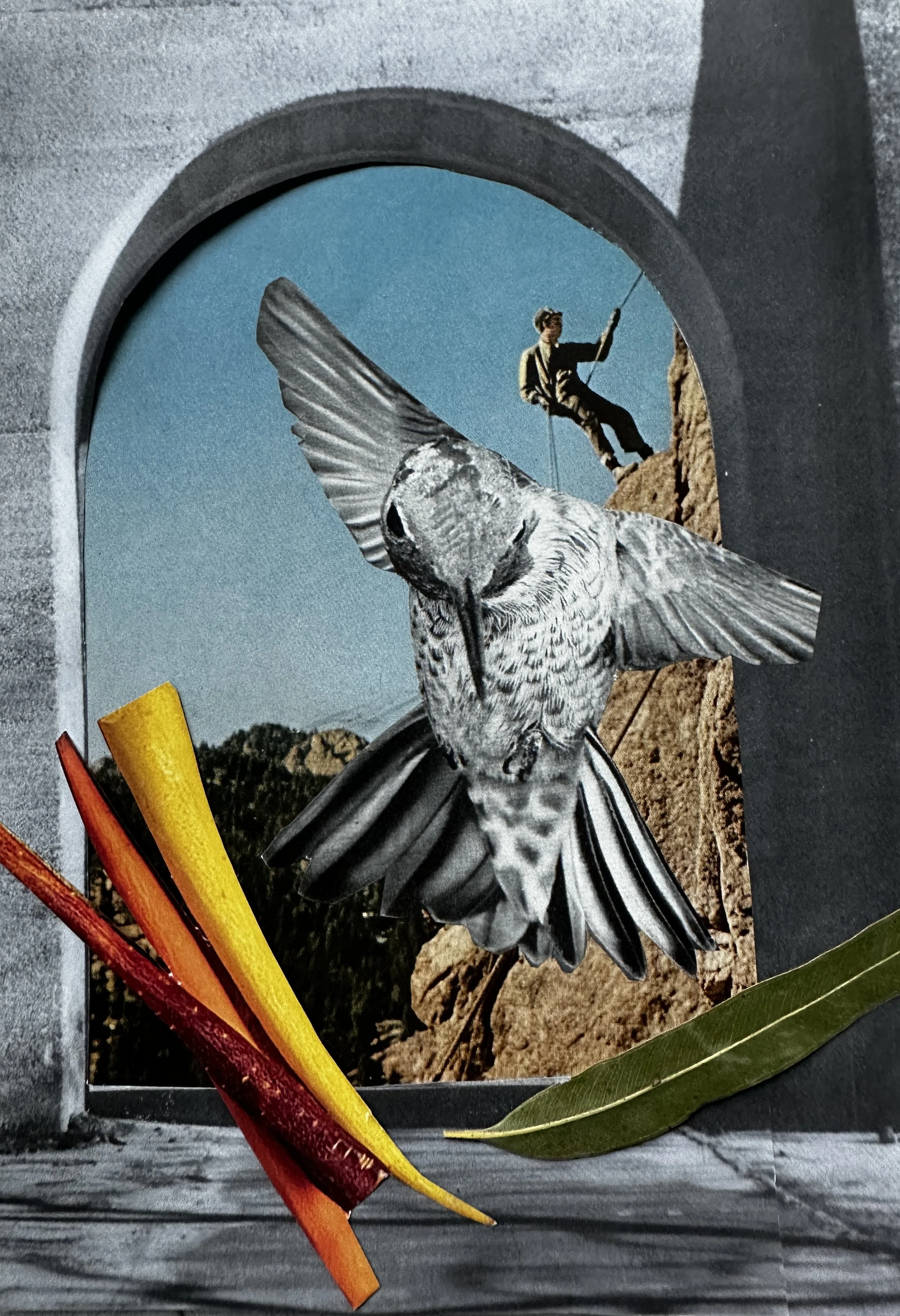 On a collage, behind a gray stone archway, a man repels from a brown mountain. A black and white bird, wings open, hovers below him. 3 carrots, yellow, purple, orange. A green eucalytpus leaf.