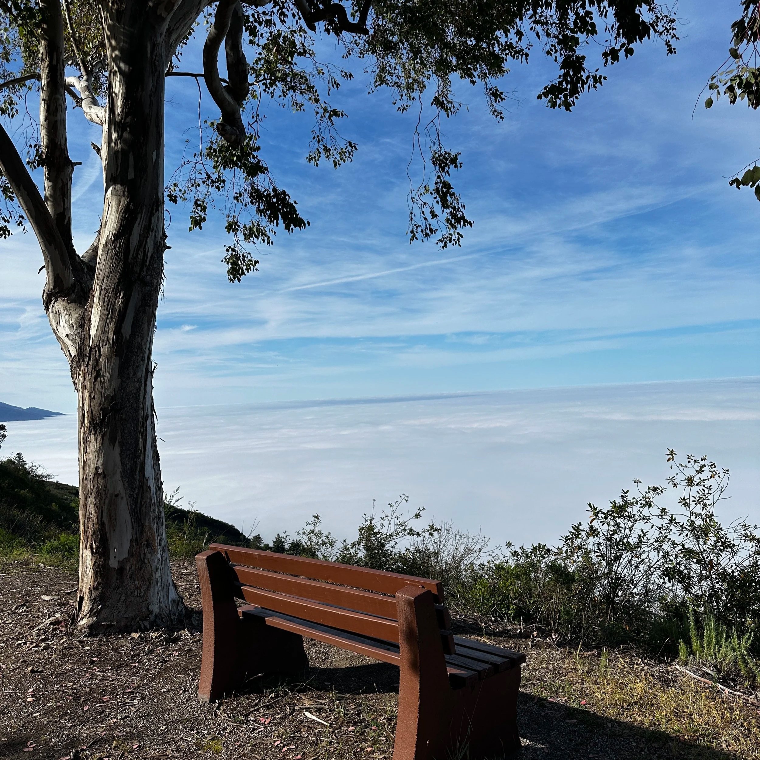 Little Connections begins: synchronicity, fathers, and becoming ourselves