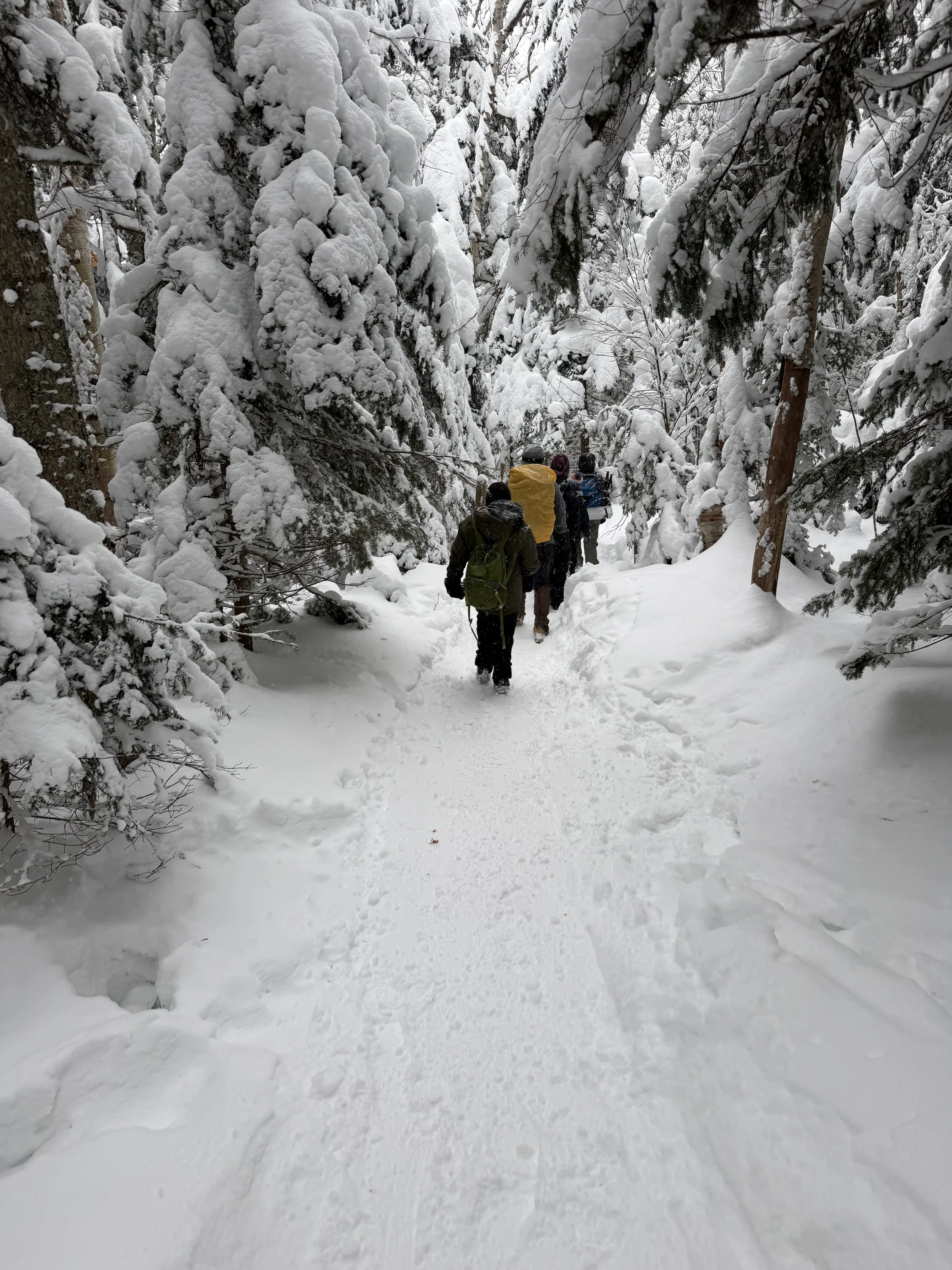 Franconia Notch, New Hampshire, 2026