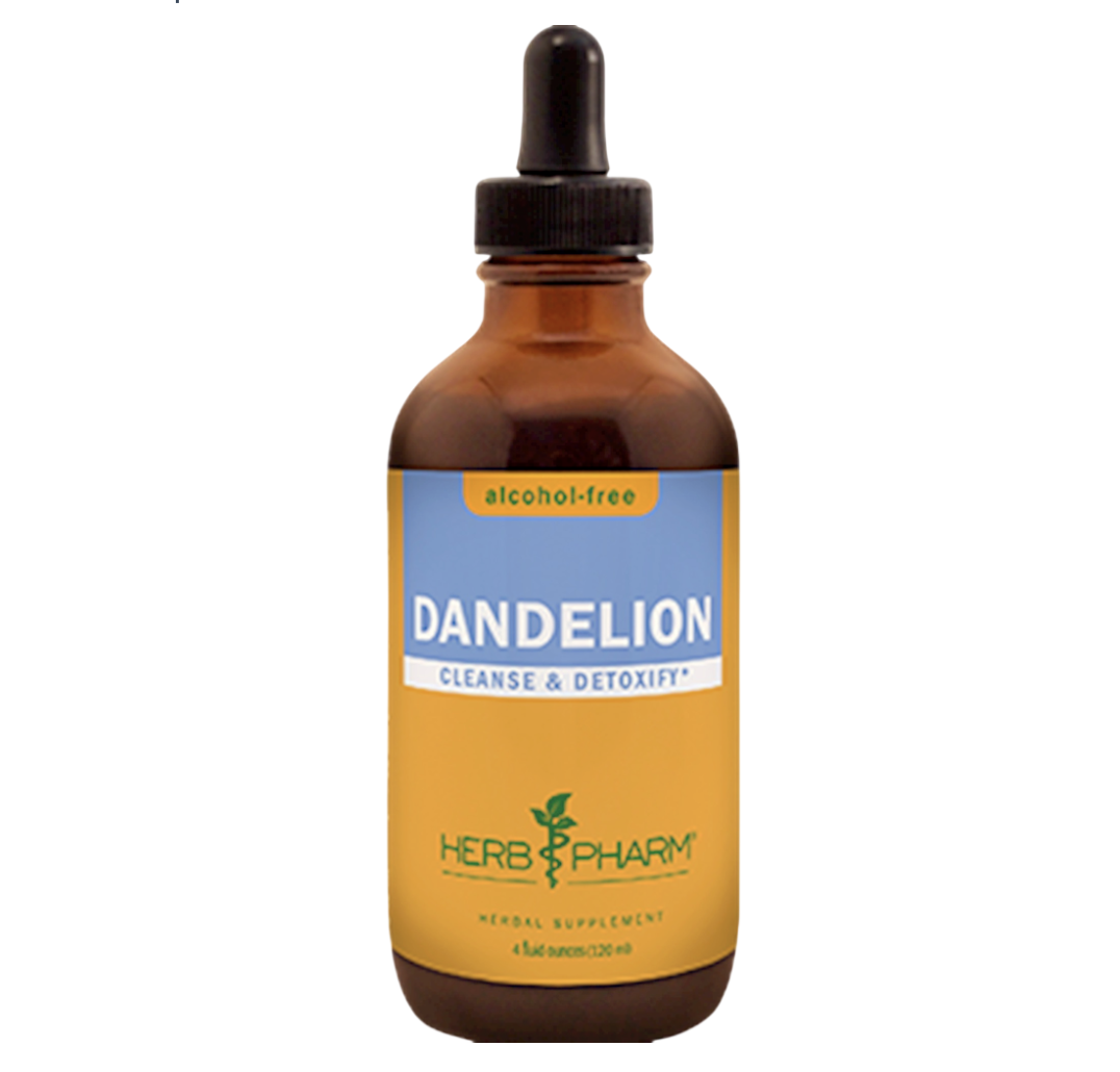 Dandelion