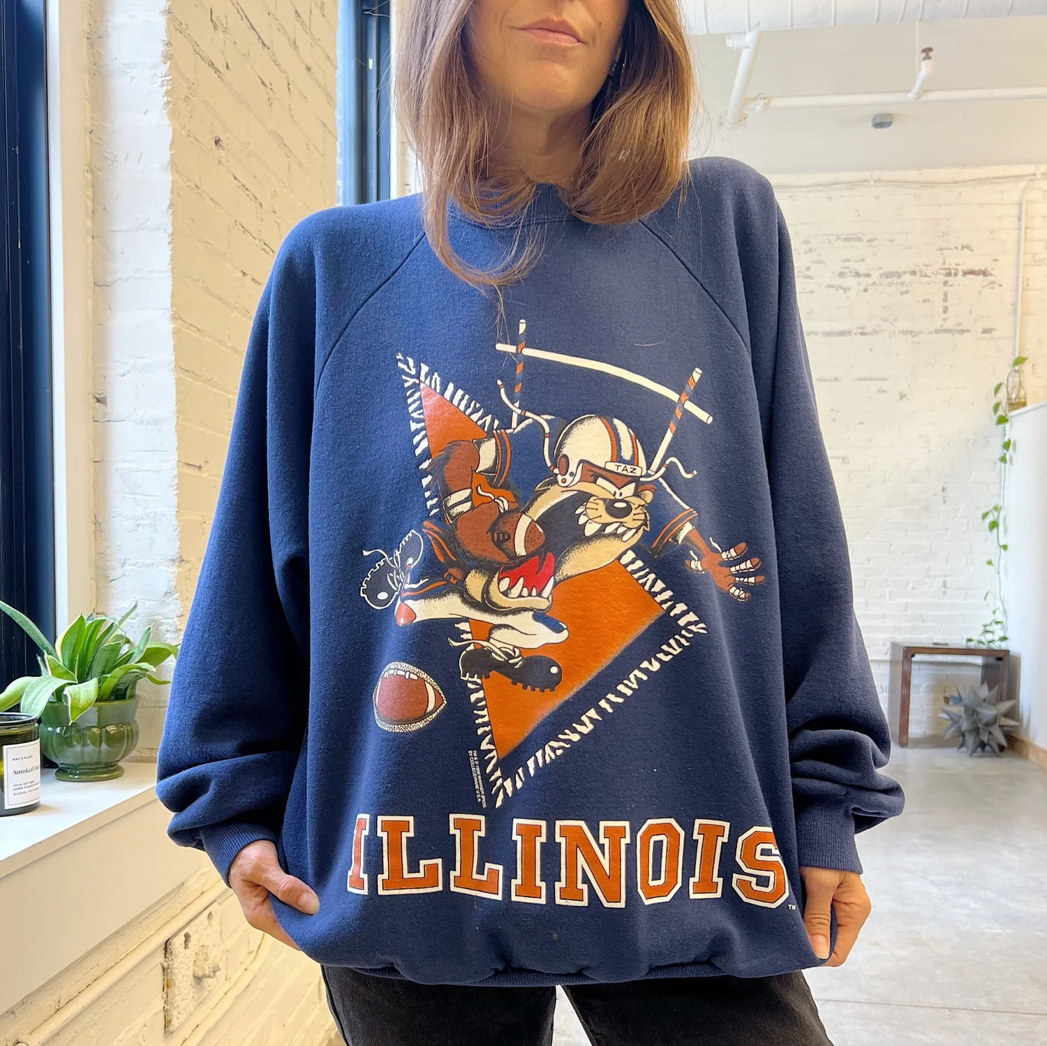 96 tazmanian devil illinois football crewneck sweatshirt, xl/xxl — May's  Place: Be Green. Buy Vintage.