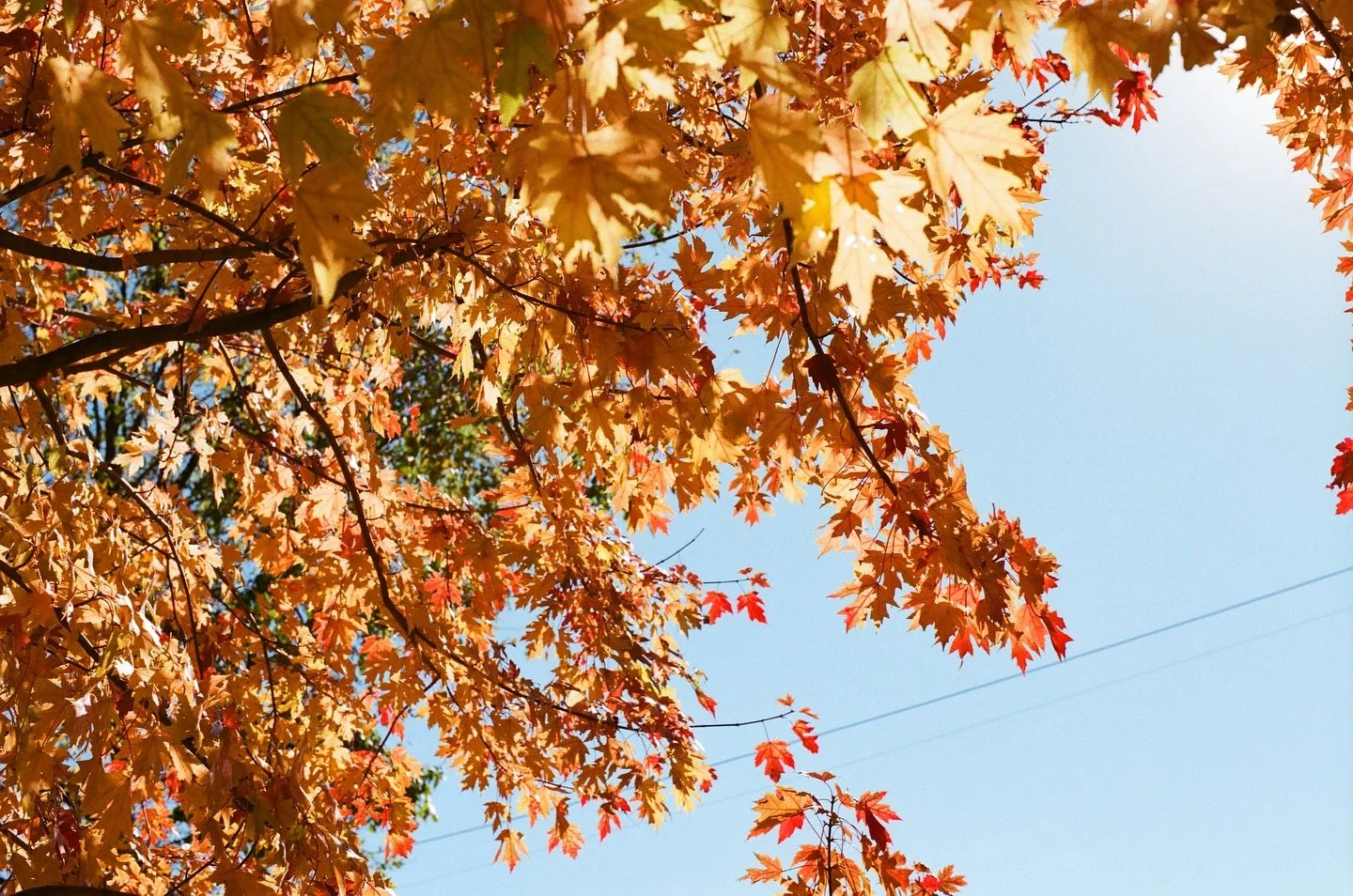 Thank you for a wonderful weekend at @thegreenshagmarket! There is so much vintage on deck! Expect a full restock on Thursday ❤️